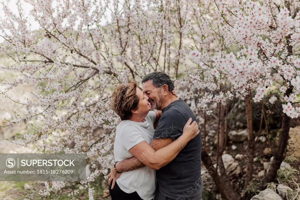 Senior couple embracing each other by tree