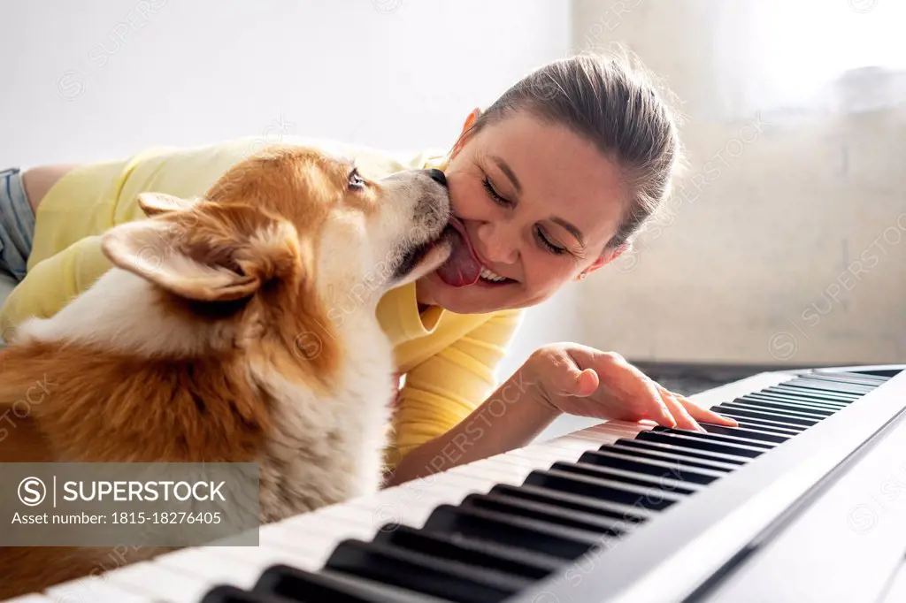 Dog licking smiling woman practicing piano at home