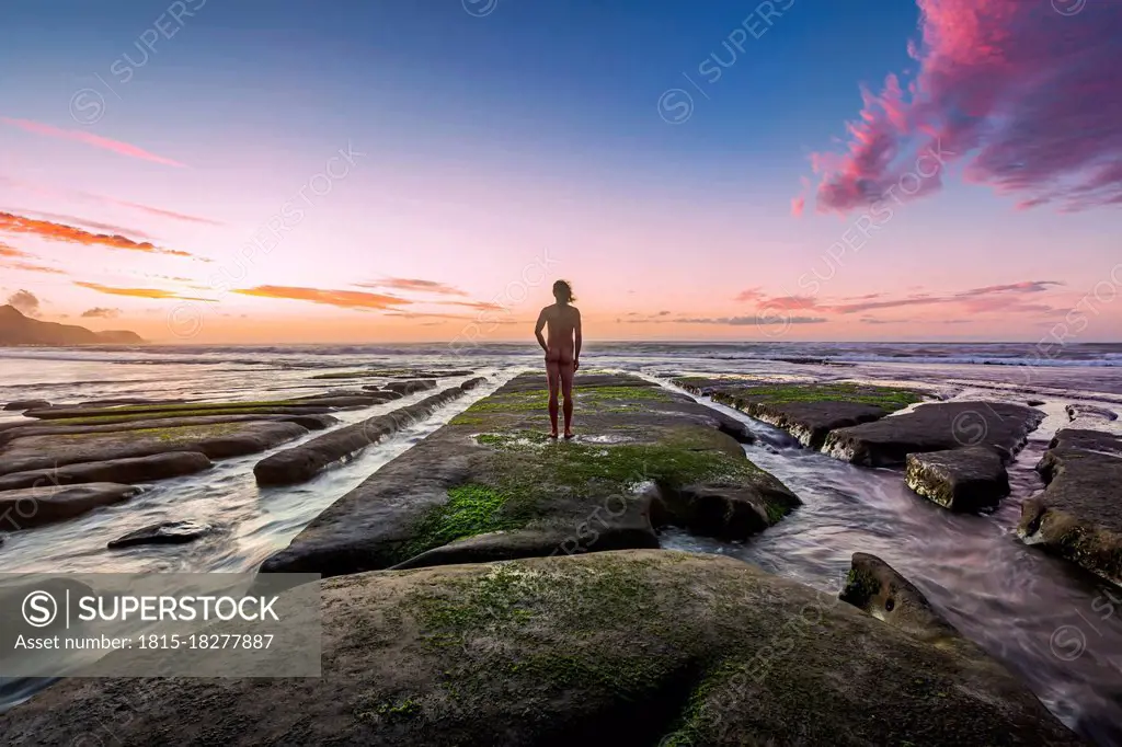 New Zealand, North Island, Rear view of naked man looking at ocean at sunset