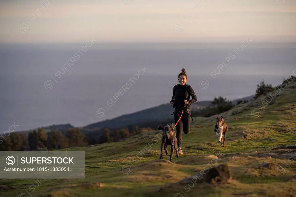 Female runner running with dogs in canicross style on hill