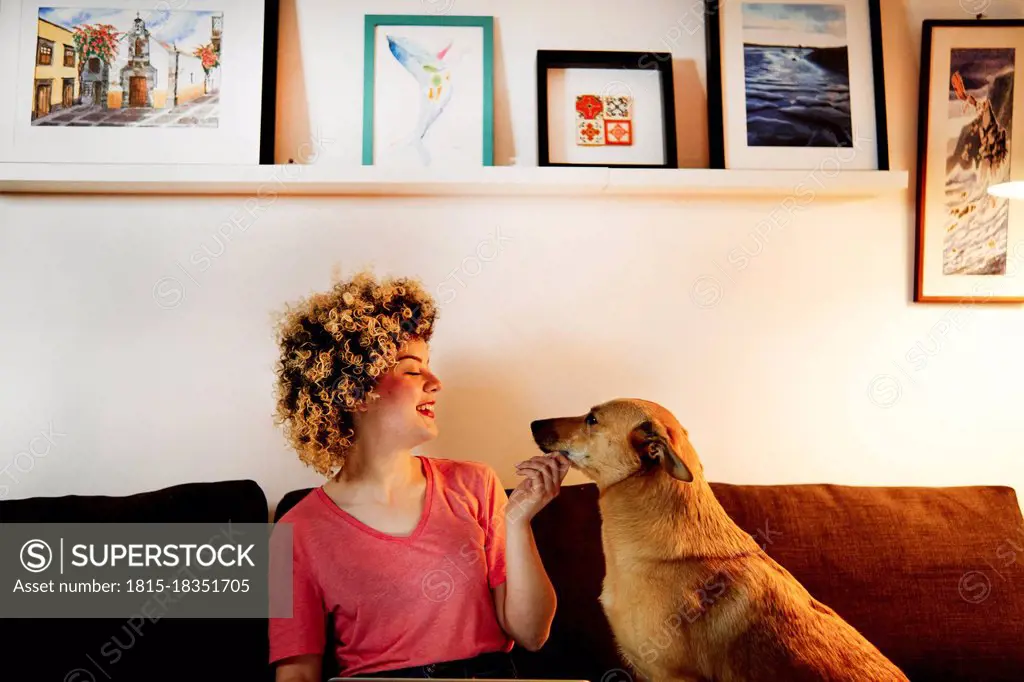 Smiling young woman sitting with dog on sofa in living room at home