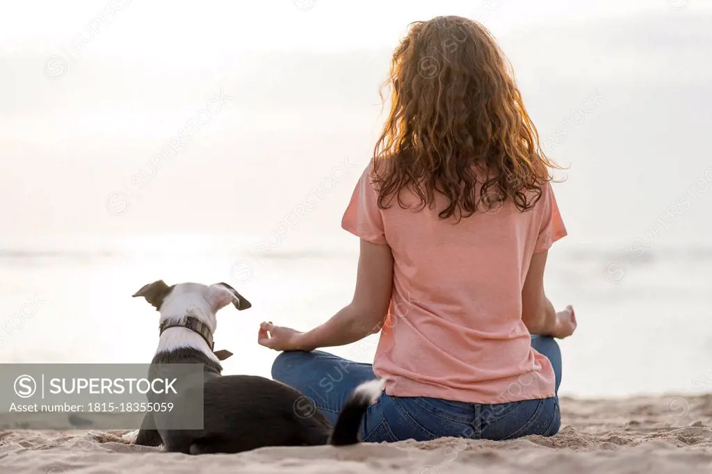 Redhead woman meditating by dog at beach