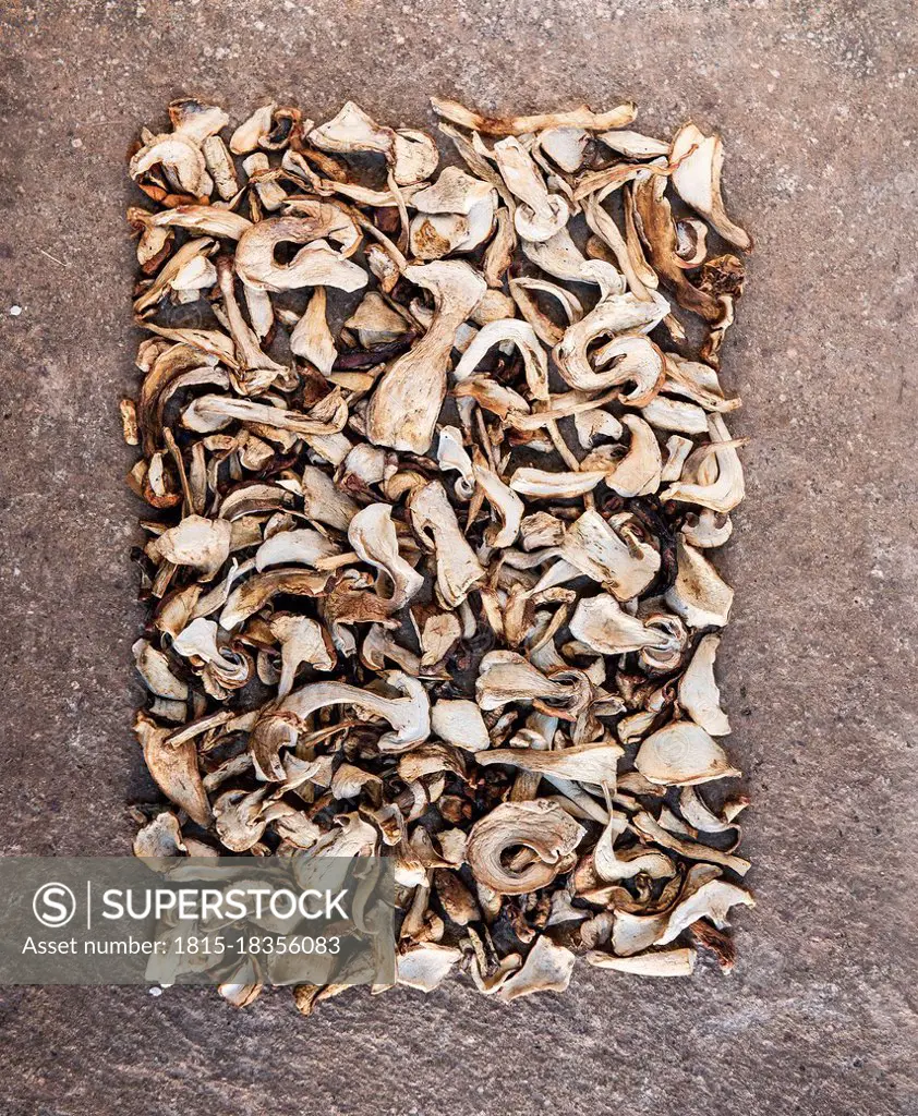 Studio shot of dried porcini mushrooms arranged into rectangular shape