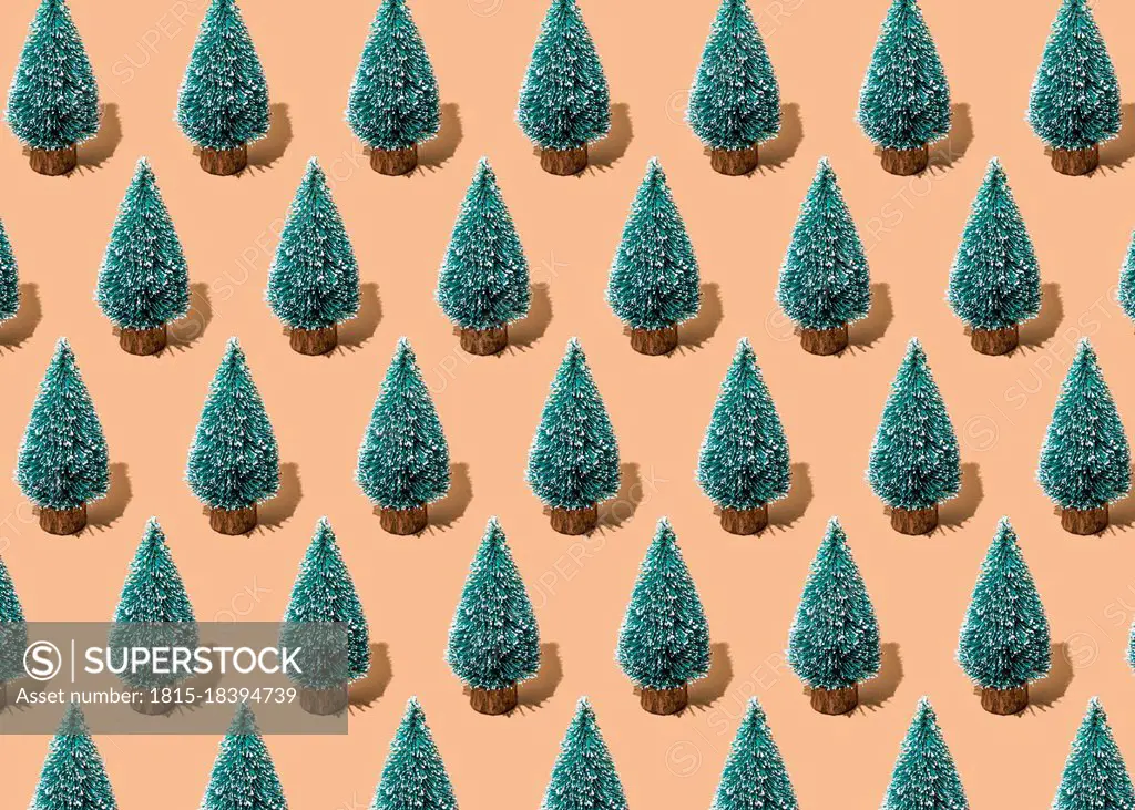 Pattern of rows of coniferous trees standing against beige background