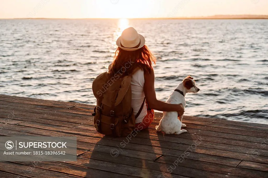 Woman looking at view while sitting by dog on pier