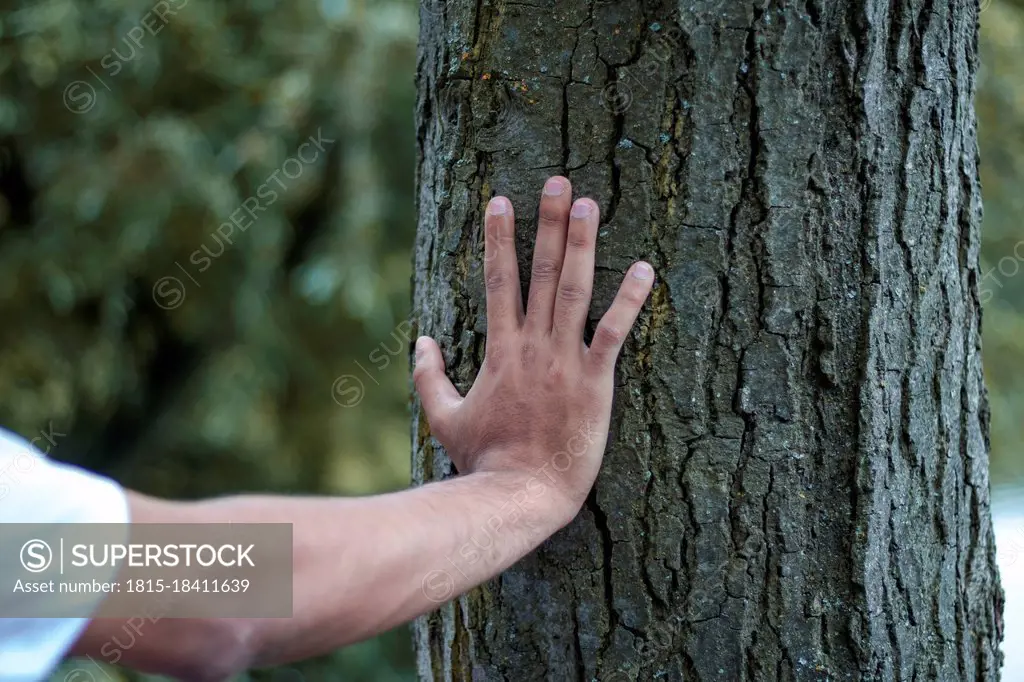 Man touching tree trunk