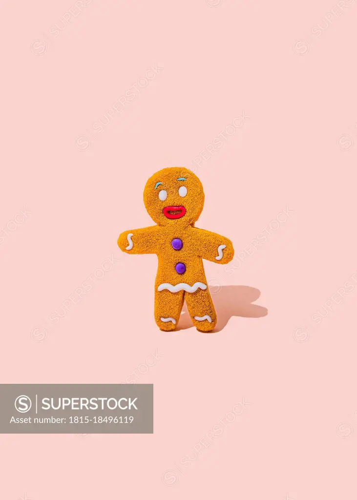 Studio shot of single gingerbread cookie