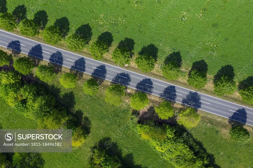 Drone view of treelined country road in spring