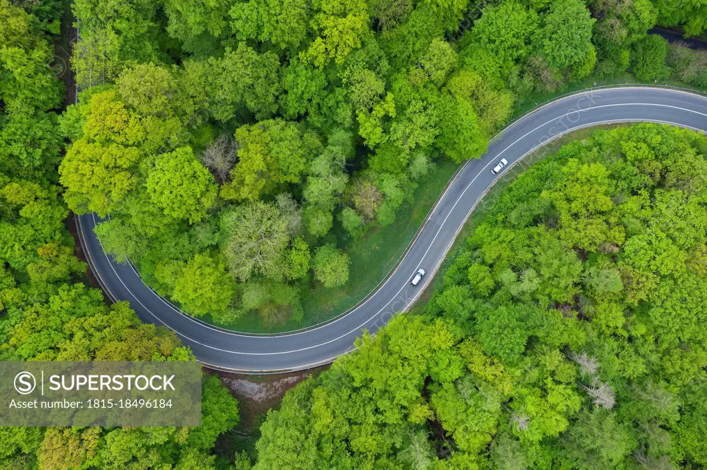 Aerial view of asphalt road winding through green springtime forest