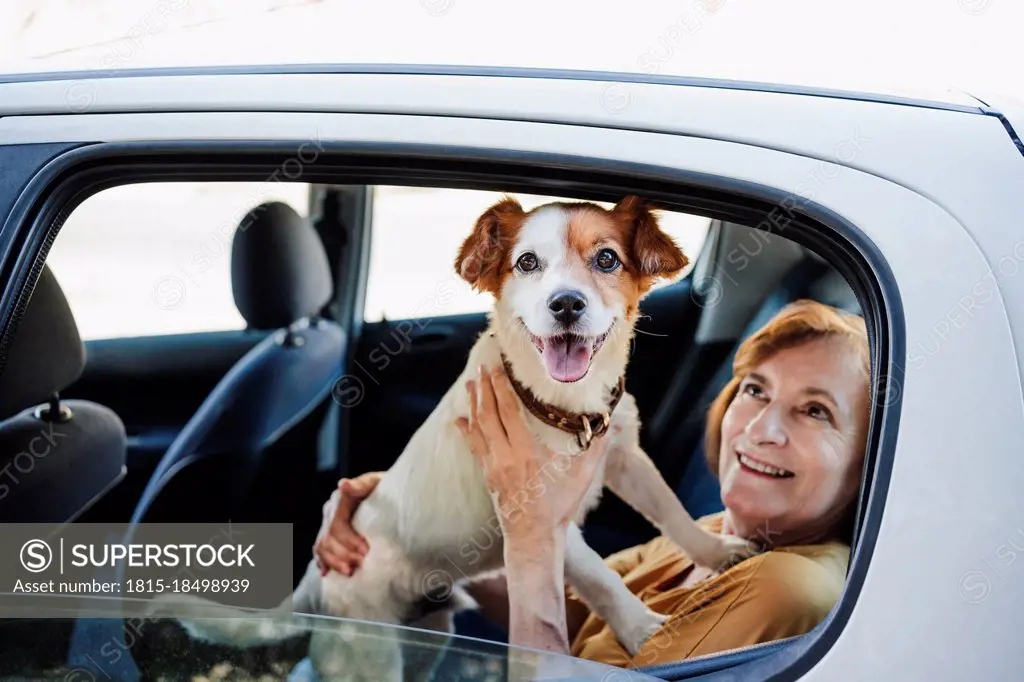 Woman looking at pet dog while sitting in car