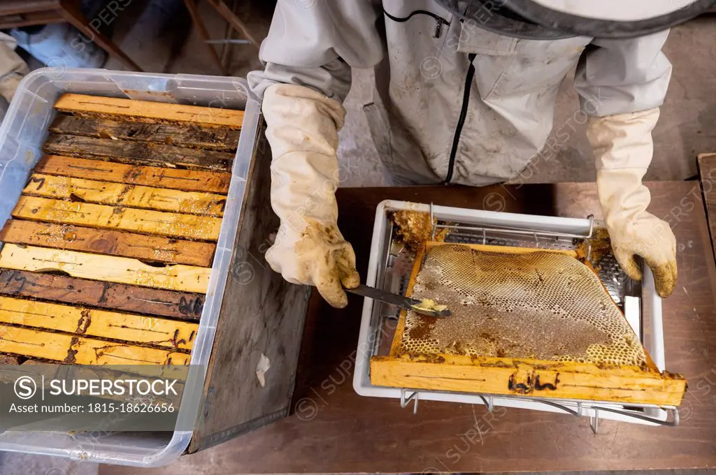 Beekeeper extracting honey from beehive in shed
