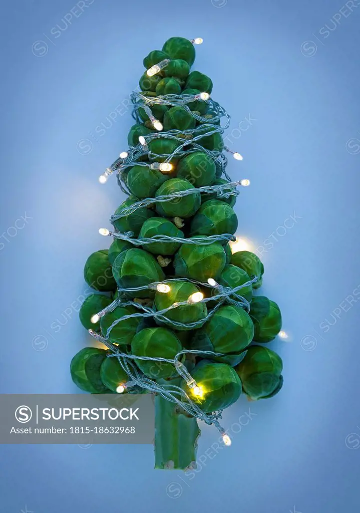 Christmas tree shaped Brussels sprouts wrapped in glowing Christmas lights