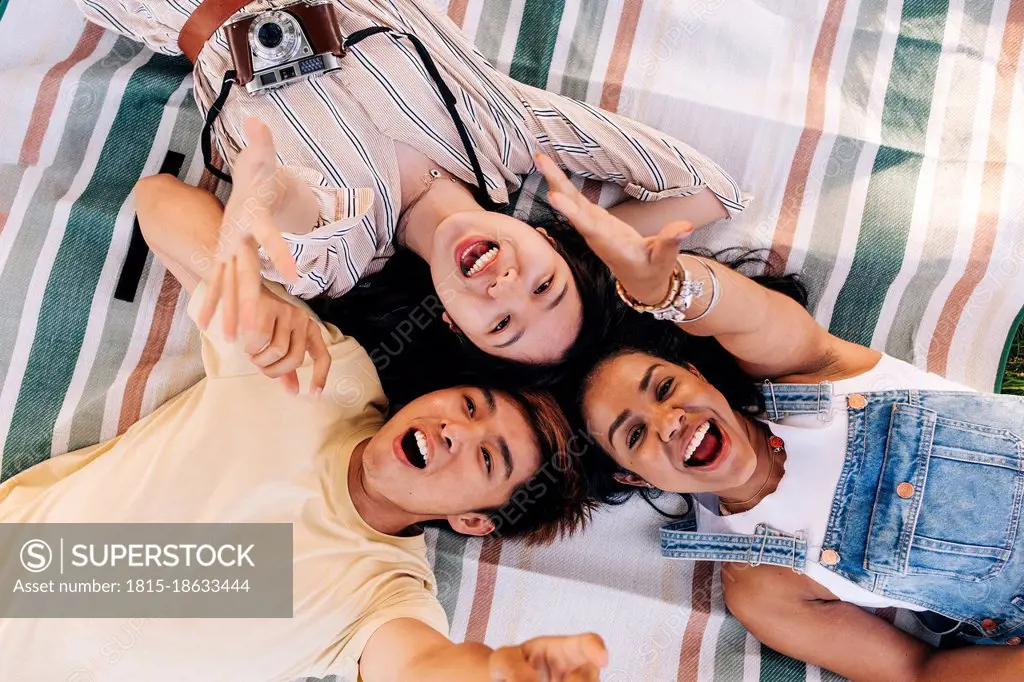 Friends screaming while relaxing on picnic blanket