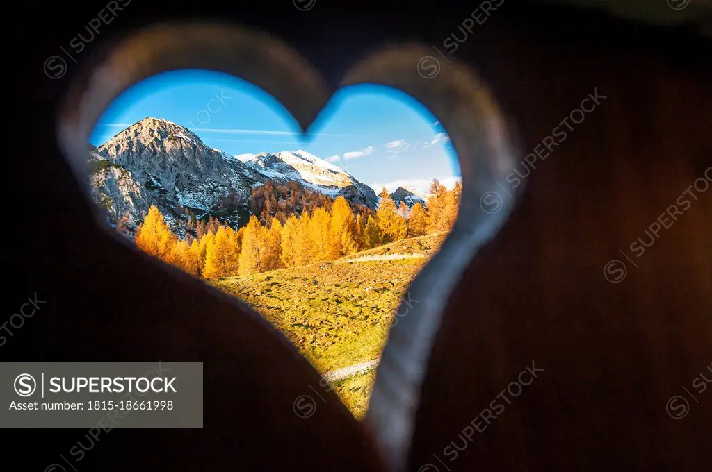 Alpine grove in autumn seen through heart shaped hole