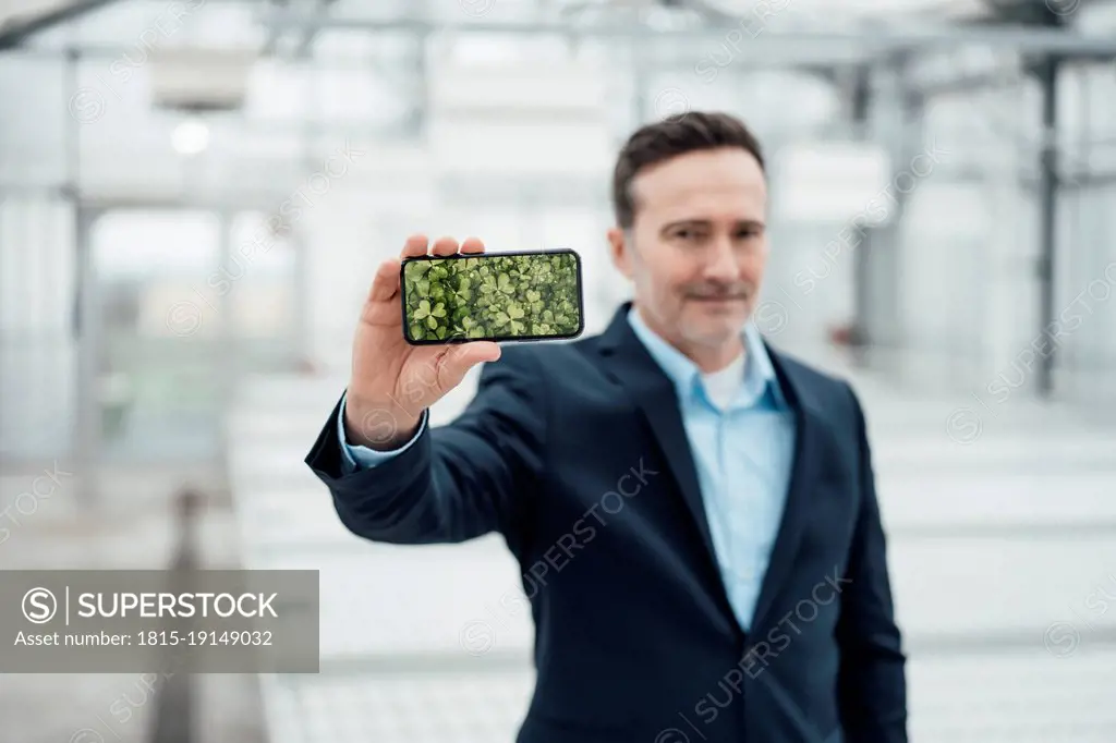 Businessman showing smart phone device screen in greenhouse