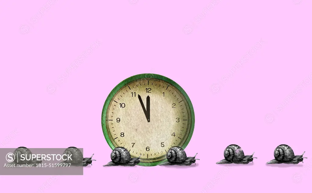 Snails crawling near clock against pink background