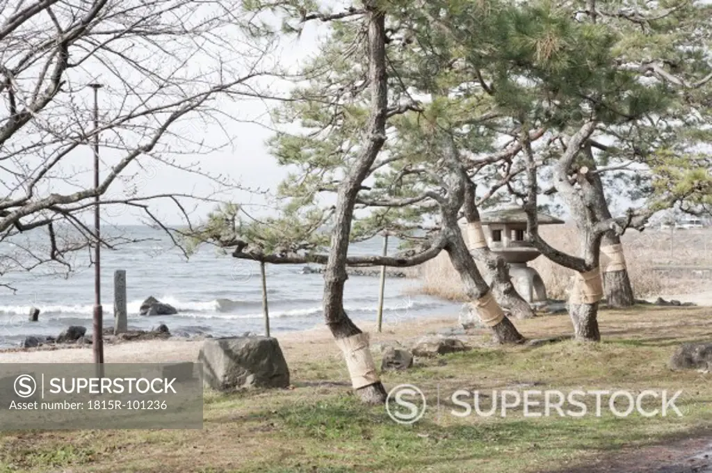 Japan, Nagahama, View of japanese garden with lake