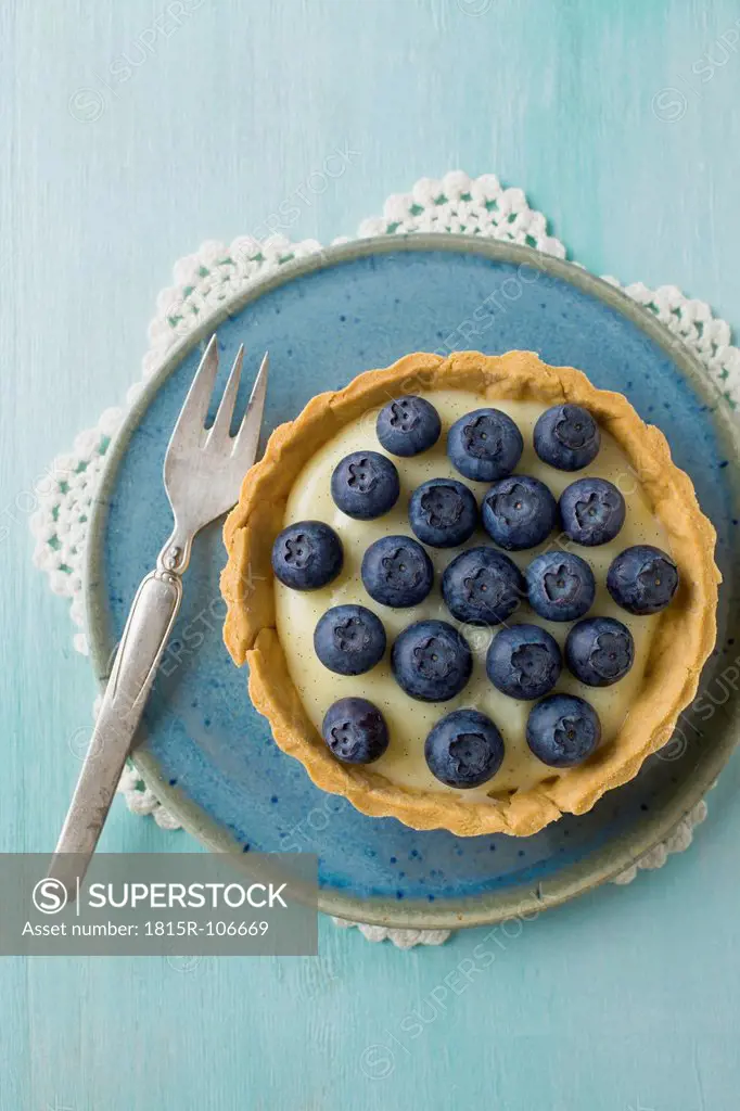 Blueberry tart with vanilla pudding and fork on plate