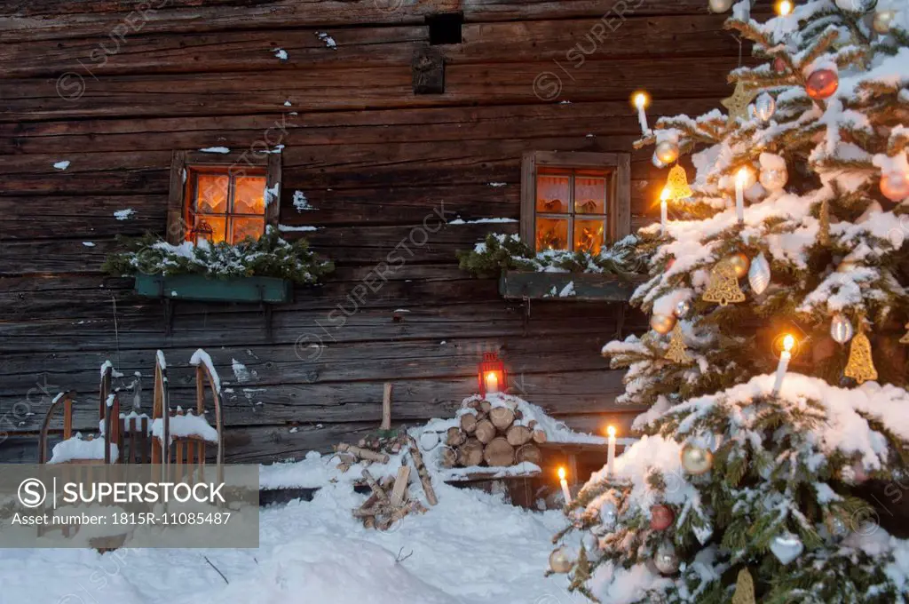 Austria, Salzburg State, Altenmarkt-Zauchensee, facade of wooden cabin with lightened Christmas Tree in the foreground