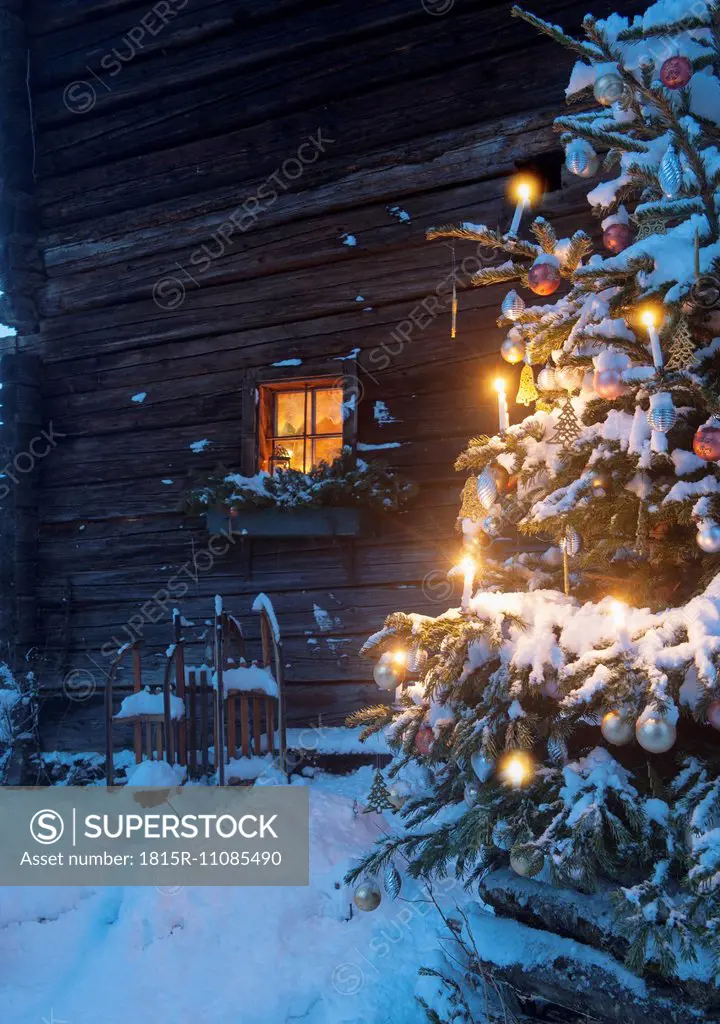 Austria, Salzburg State, Altenmarkt-Zauchensee, facade of wooden cabin with lightened Christmas Tree in the foreground