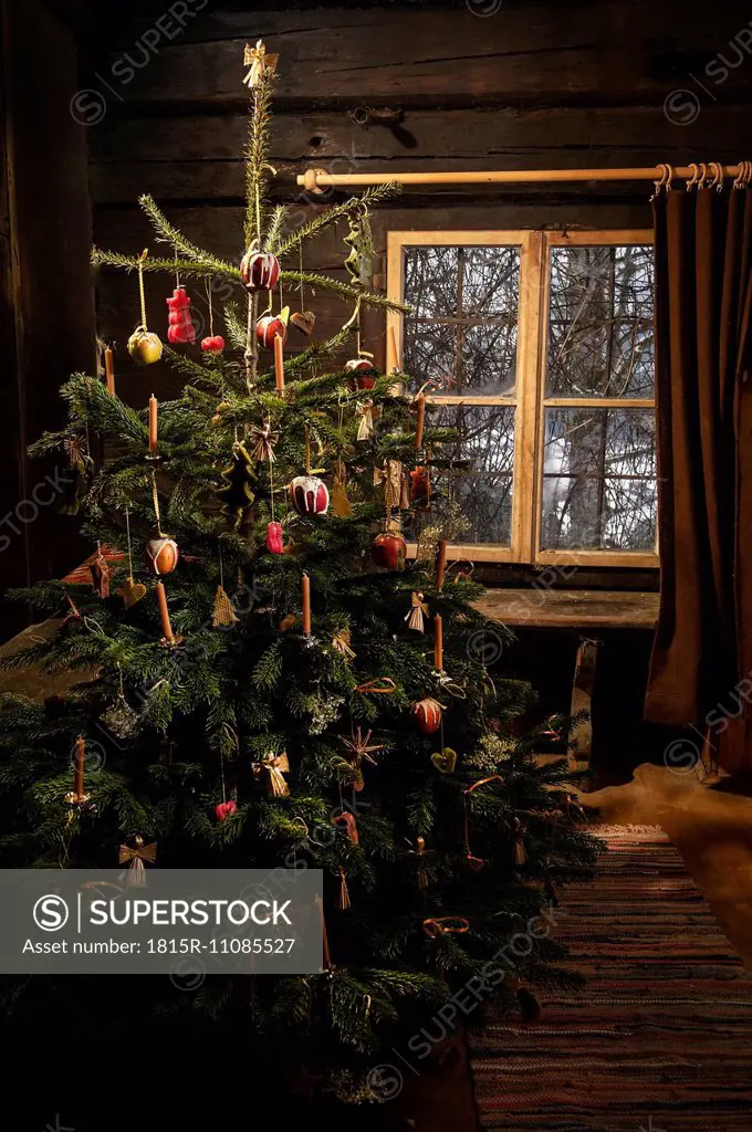 Decorated Christmas tree standing in a farmhouse