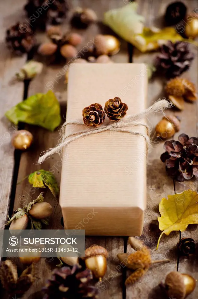 Wrapped present in between autumnal decoration