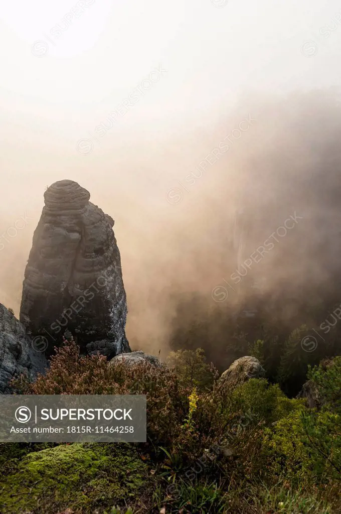 Germany, Saxony, Saxon Switzerland, National Park, Bastei rock formation in the fog