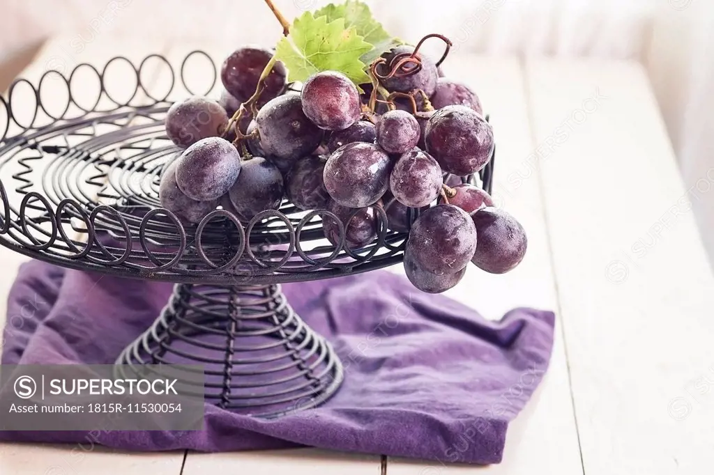 Wire fruit bowl of blue grapes on purple cloth