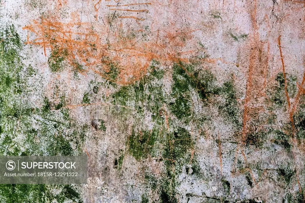 Austria, Eferding, wall of castle ruin Schaunberg