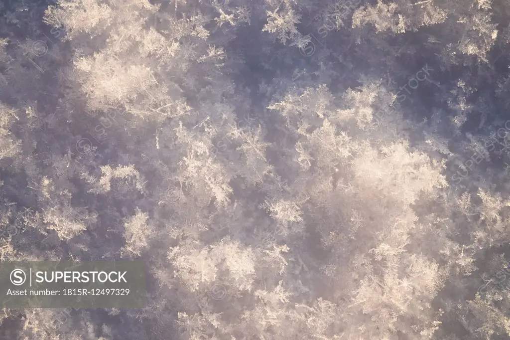 Snow at sunlight, close-up