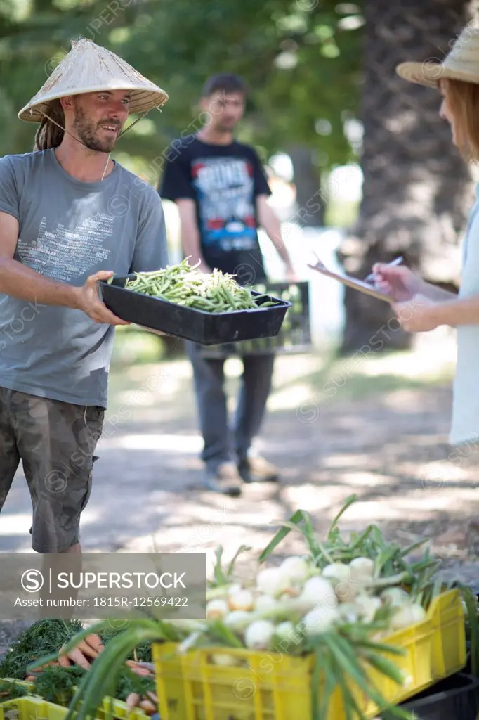 Gardener showing box of green beans