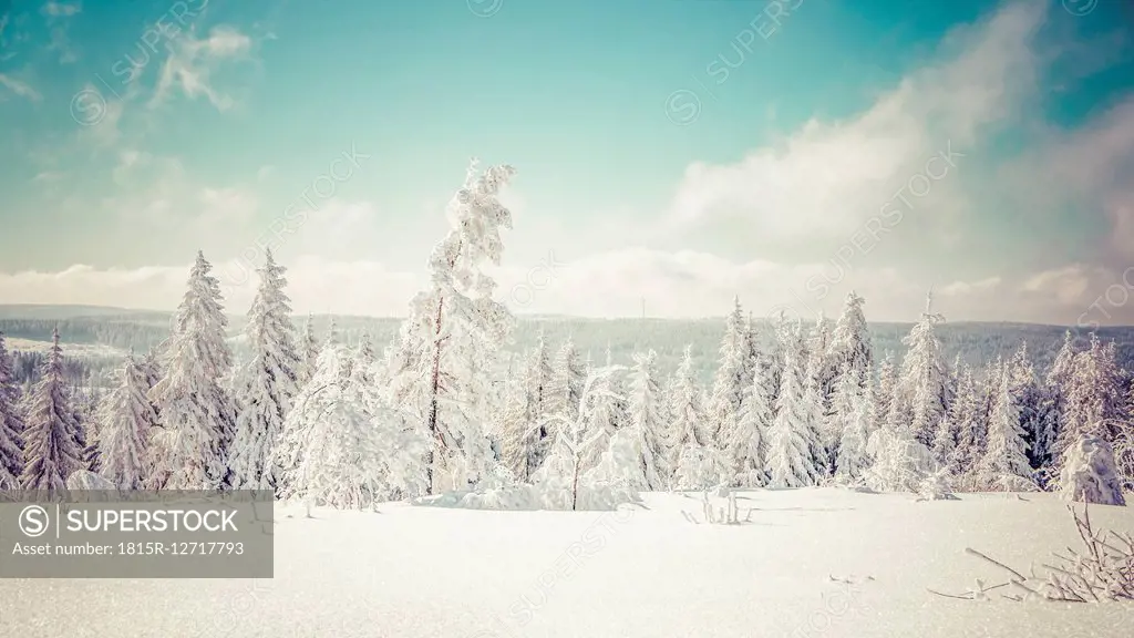 Germany, Baden-Wuerttemberg, Black Forest, Schliffkopf, snow-covered landscape