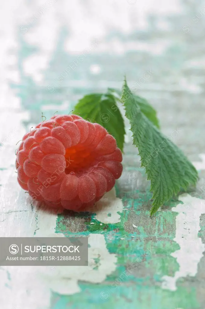 Raspberry with leaves, close-up