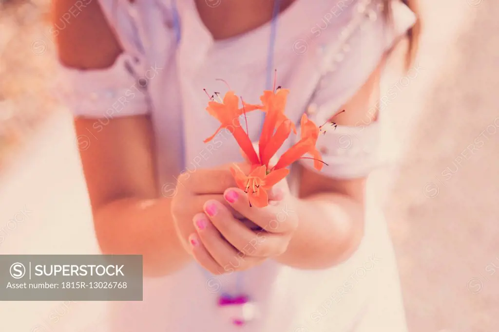 Girl holding orange blossom in her hands, close-up