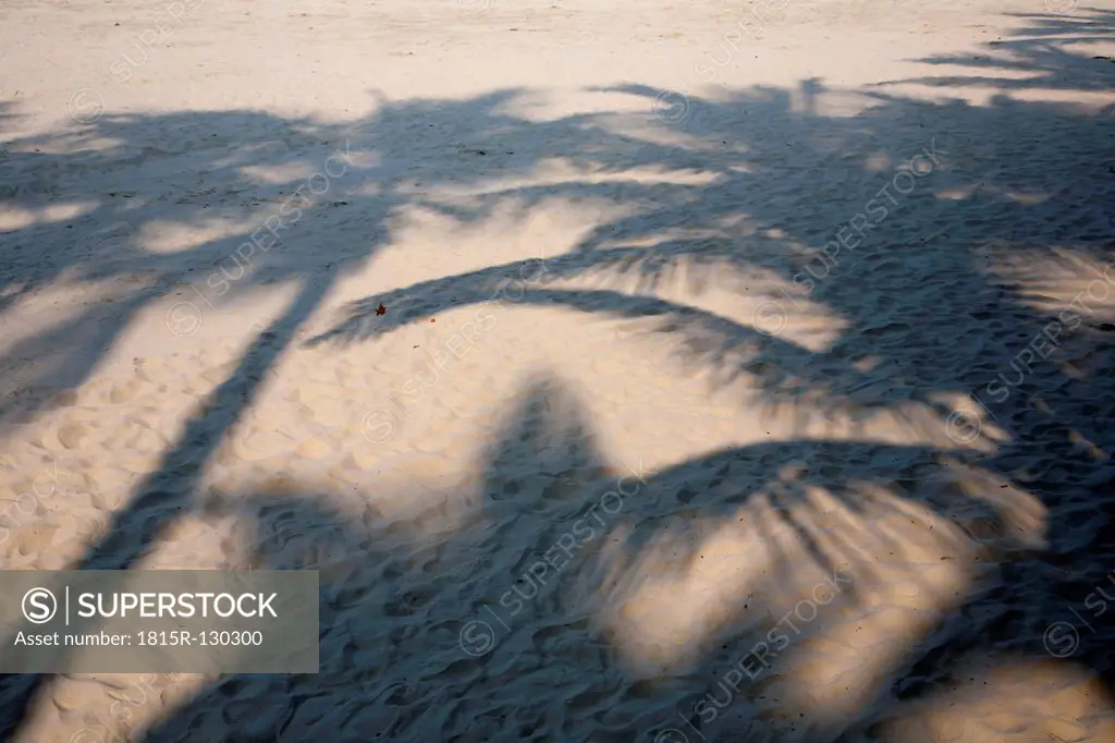 Brazil, Shadow of palm trees at beach