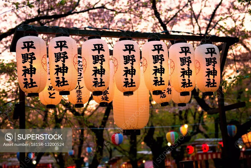 Japan, Kyoto, row of lighted Japanese lanterns in a park atblossoming season