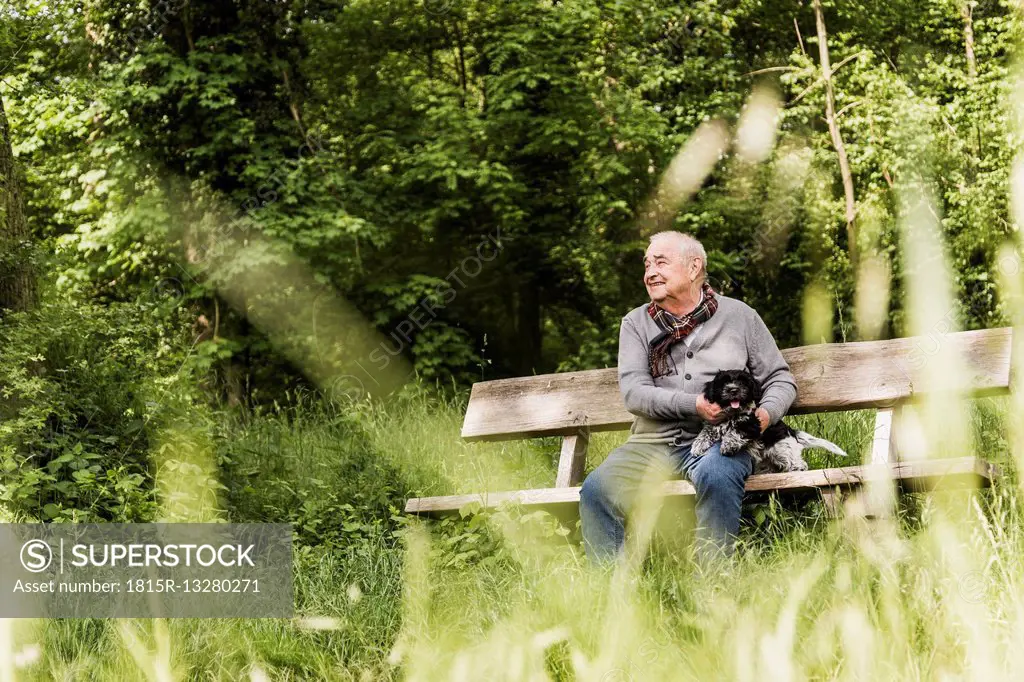 Smiling senior man sitting with his dog on a bench in nature