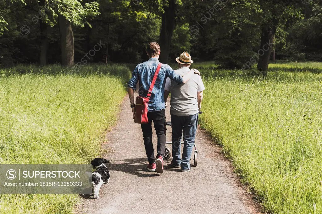 Back view of grandfather walking with grandson and dog in nature