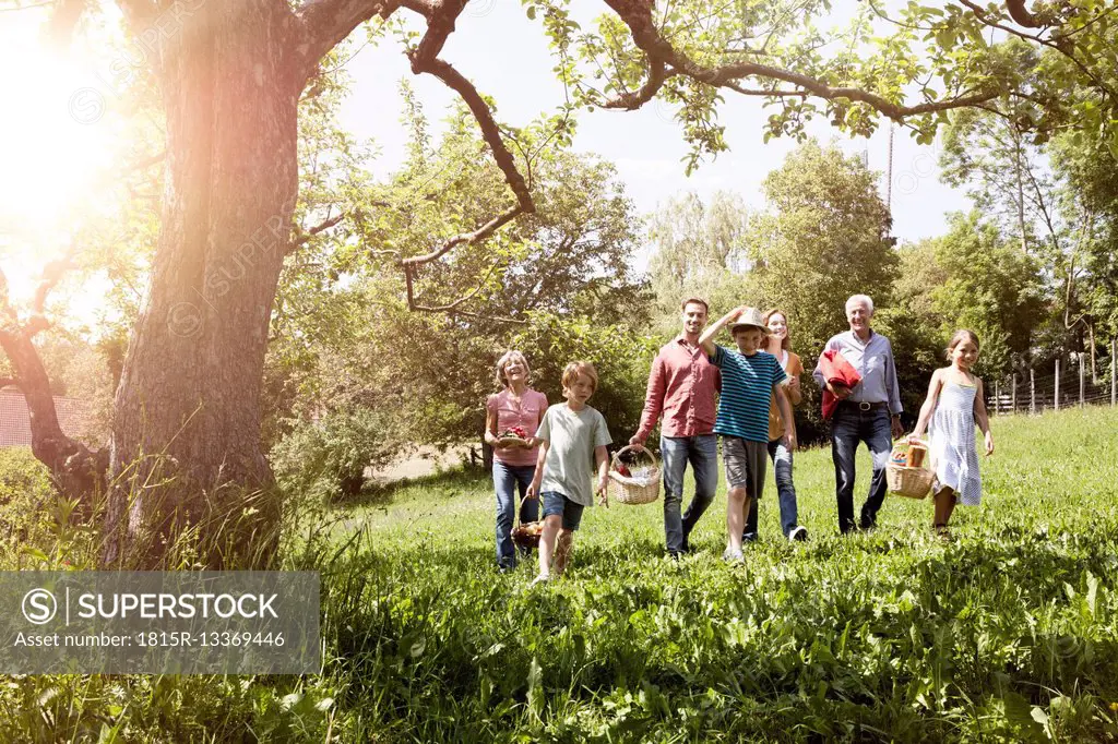 Extended family walking with picnic baskets in meadow