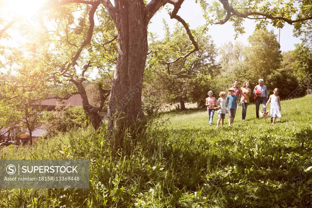 Extended family walking with picnic basket in meadow