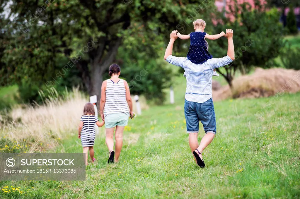 Back view of family with two children walking on a meadow