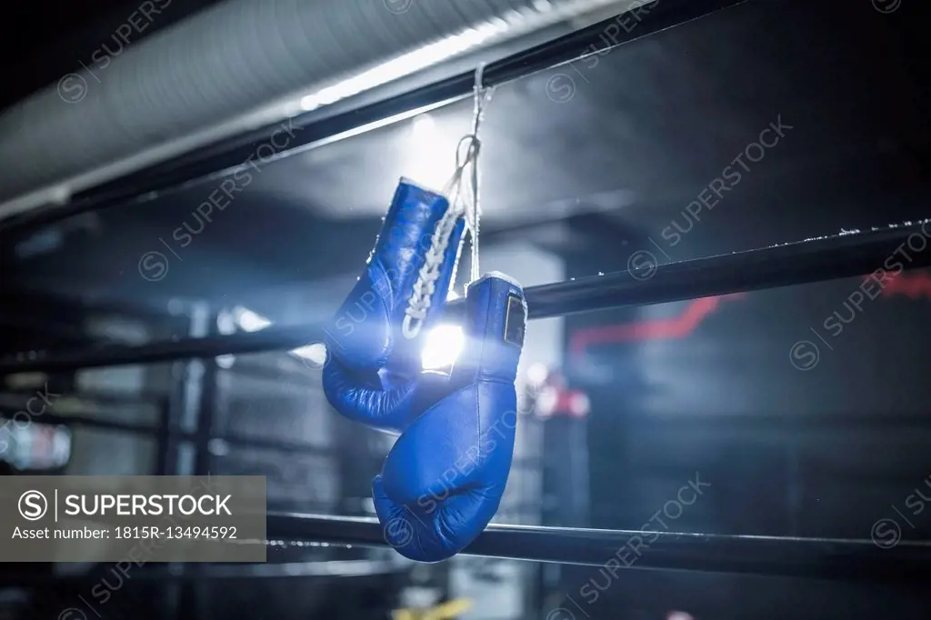 Boxing gloves hanging in boxing ring