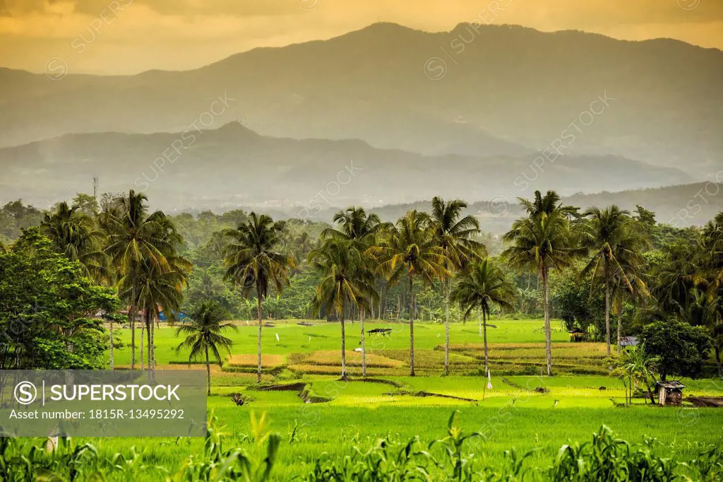 Indonesia, Java Island, Landscape with mountains