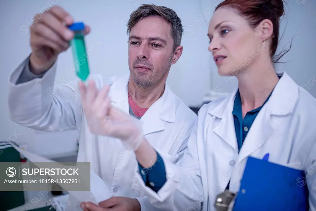 Scientists looking at sample in test tube in laboratory