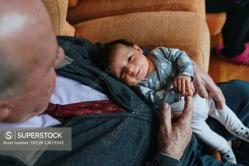 Newborn baby girl on the lap of great grandfather at home