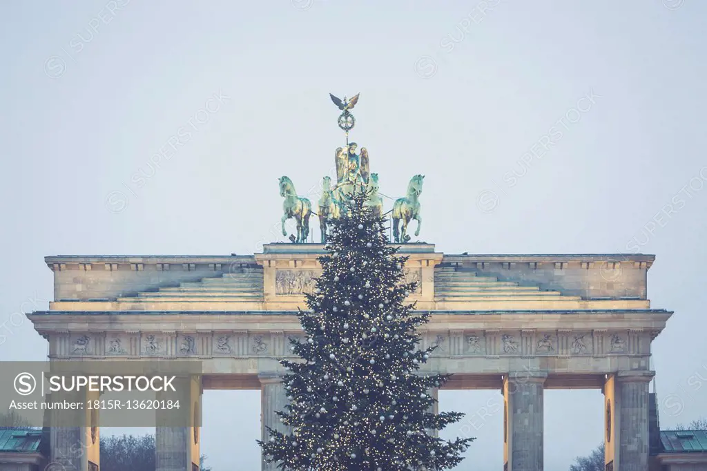 Germany, Berlin, Christmas tree in front of Brandenburg Gate