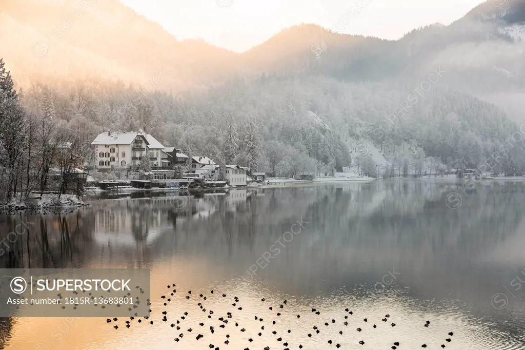 Germany, Lake Kochel in winter