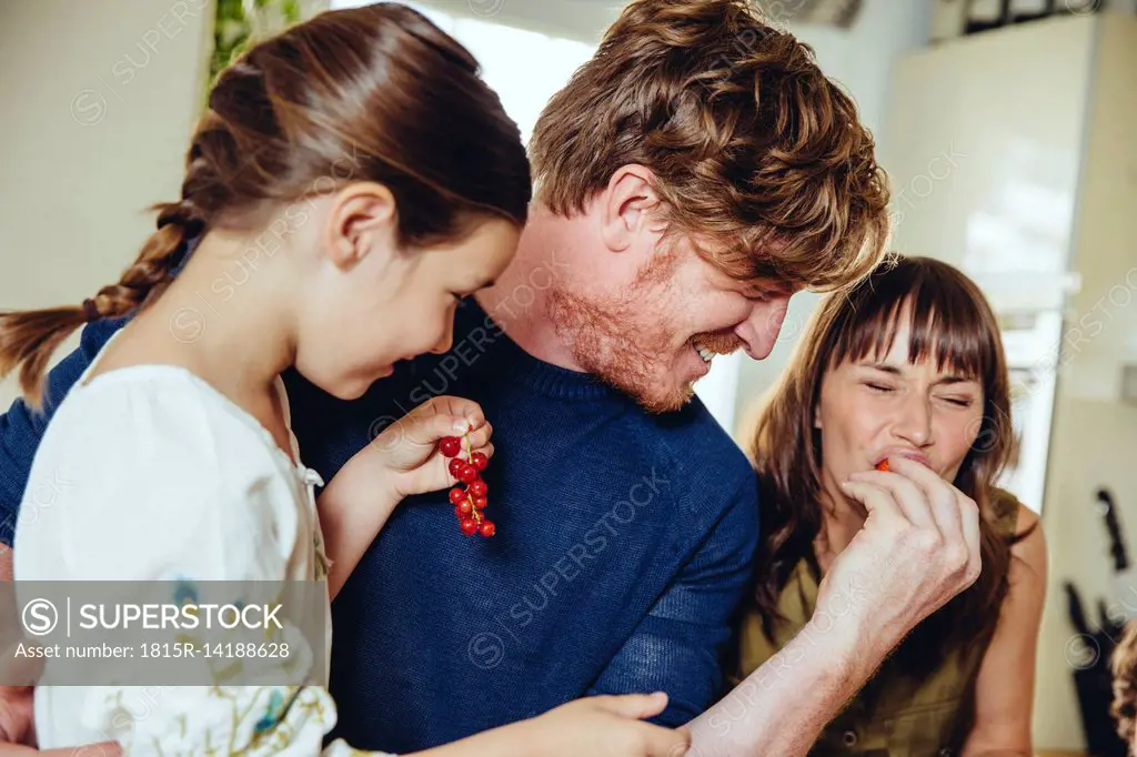 Parents and daughter tasting redcurrants