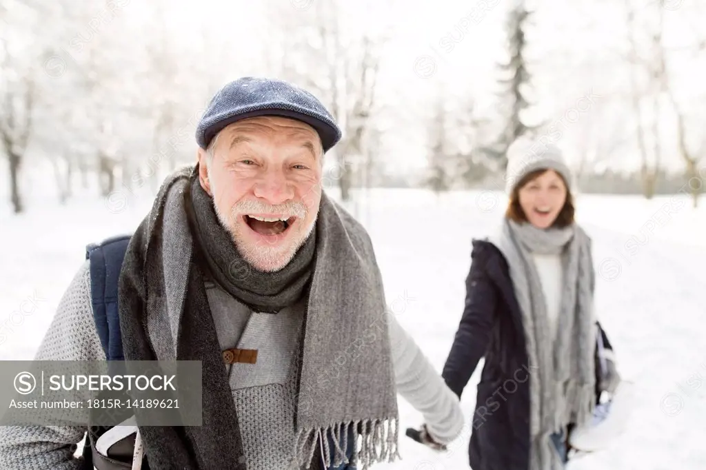 Happy senior couple in winter landscape