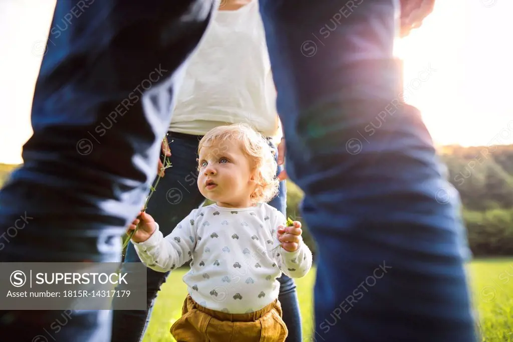 Cute little boy with parents on meadow